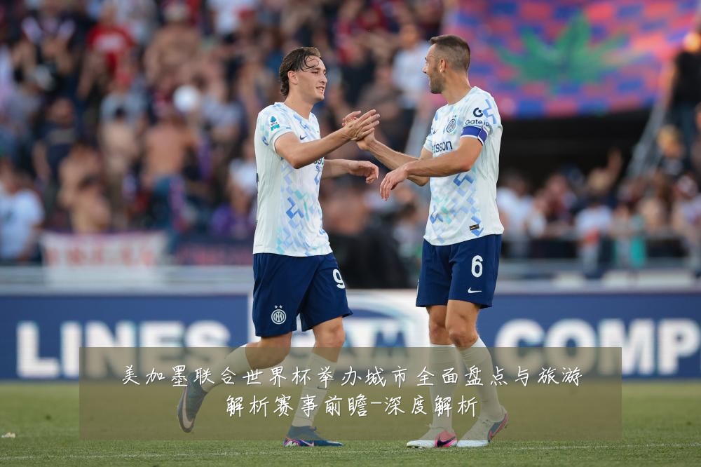 美加墨联合世界杯举办城市全面盘点与旅游解析赛事前瞻-深度解析